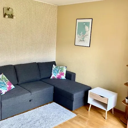 Roo Apartment *